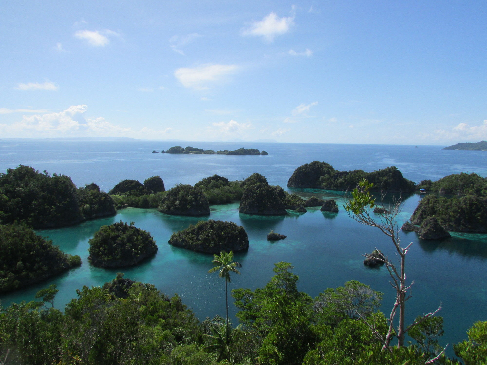 Swiss-Belhotel Sorong Esterno foto